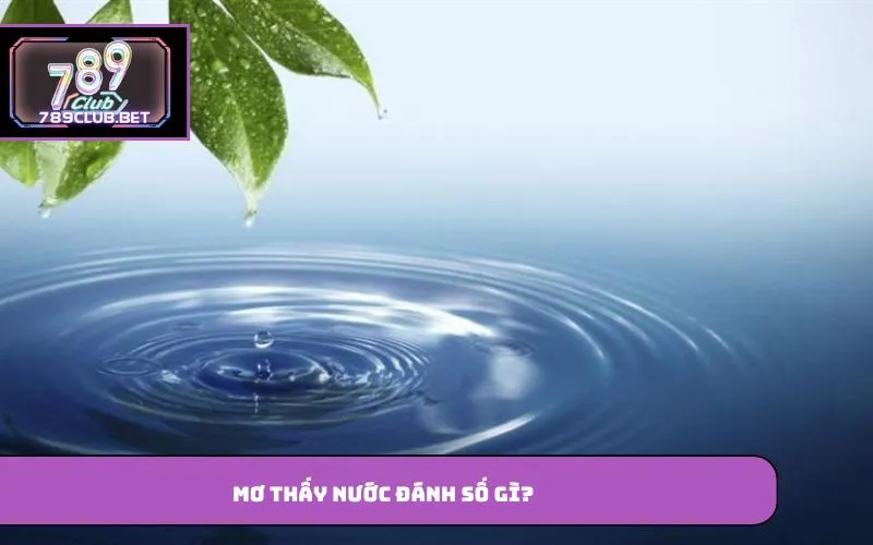 Mơ Thấy Nước – Giải Mã Ý Nghĩa Những Giấc Mơ Phổ Biến Mơ thấy nước đánh số gì?